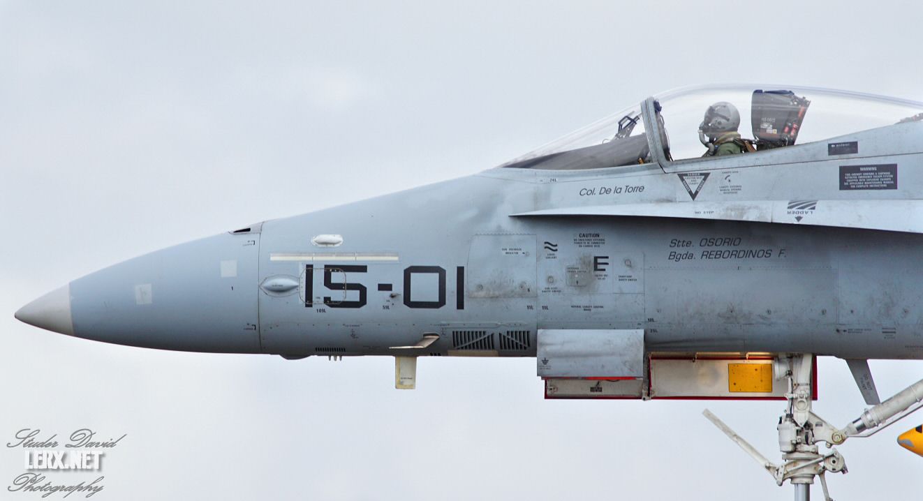 FA-18 Espagnol 0006  LERX NET.jpg